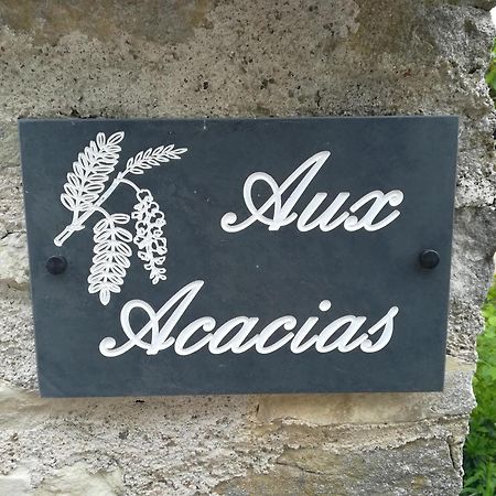 Aux Acacias Villa Braye-sous-Faye Exterior photo